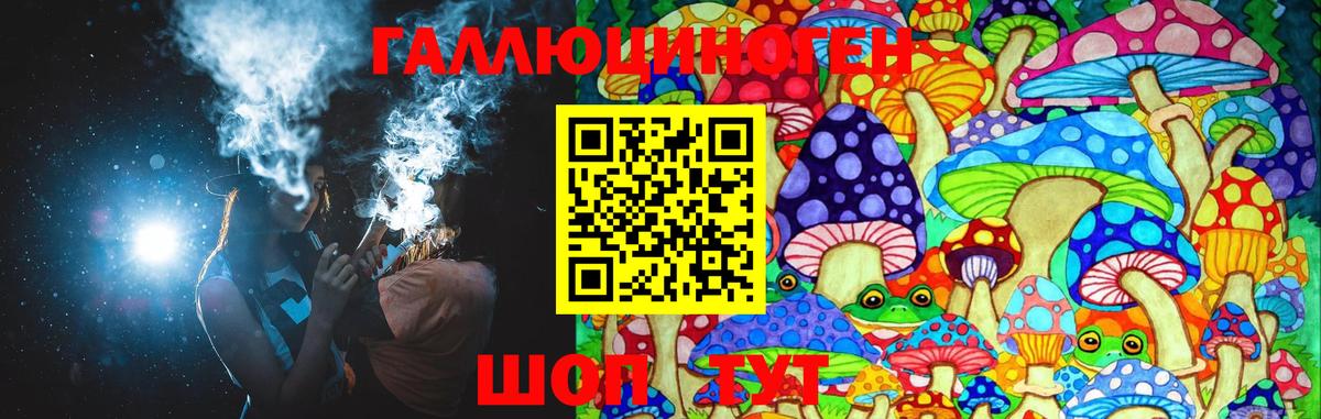 Галлюциногенные грибы Psilocybe Таганрог